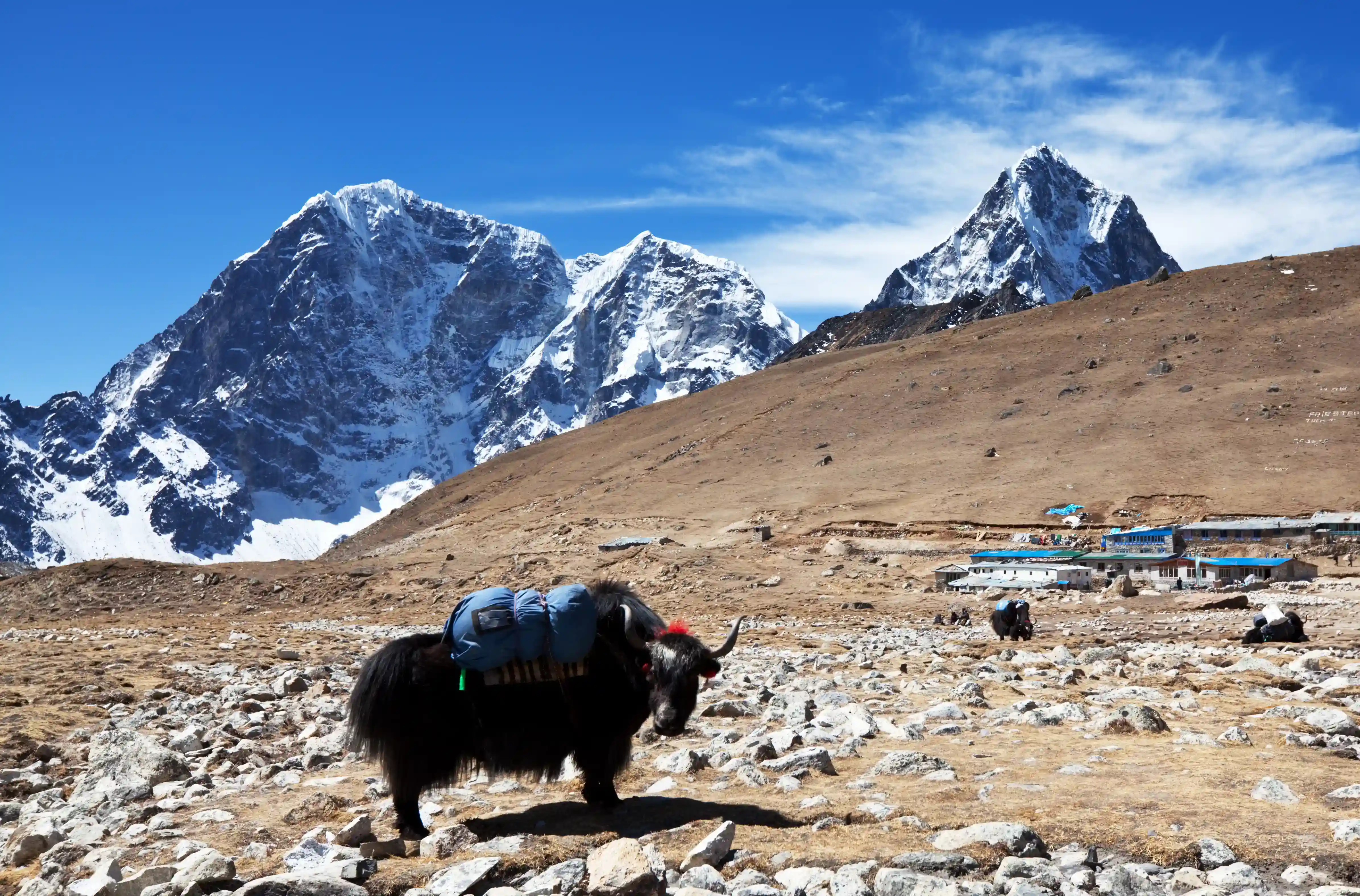 Everest Base Camp